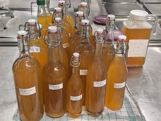 Mehrere Glasflaschen mit Bügelverschluss und eine große Plastikkanne, gefüllt mit einer bernsteinfarbenen Flüssigkeit, stehen auf einem karierten Tuch auf einer Edelstahlarbeitsplatte. Im Hintergrund sind professionelle Küchengeräte zu erkennen.